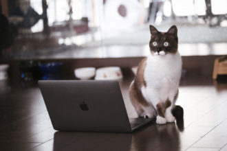 ノートパソコンを選ぶ基準