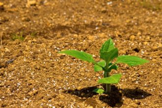 パソコンの初期化